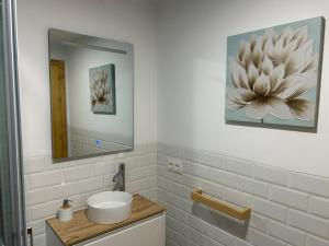 Apartamentos El Búho