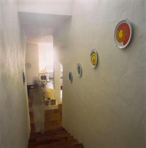 Villa Bianca, piscina e panorama img10