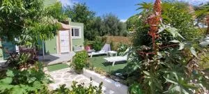 Afionas Das Grüne Haus - Afionas