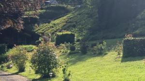 Maisons de vacances haras de la Cere et ses chevaux : photos des chambres