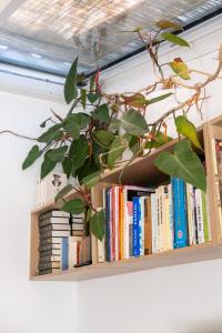 Appartements Minor Swing - appartment - CASA MONICA CARGESE - : photos des chambres