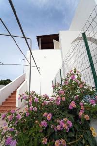 Casetta Le Dune, 5 min a piedi dal mare