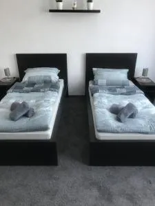 Dionysos - Wankendorf