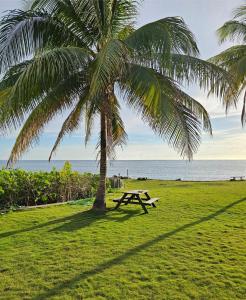 Palms By The Sea