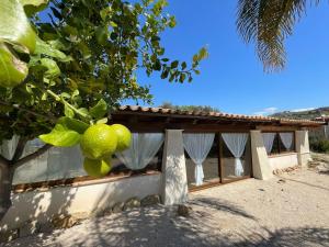 Villa Corbera Palmaris