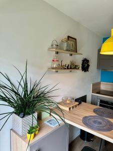 Appartements Studio 2 adultes 2 enfants parcs Disneyland Paris : photos des chambres