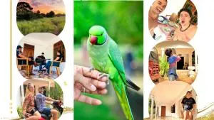 Grand Refuge Bird view Lake jogging Foods Bikes Tuk tuk & free city tour guidence - Kirikkulama