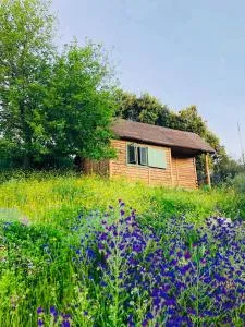 Hamlet's Friends - Nuño Gómez