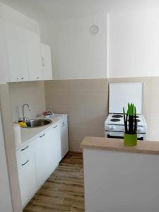 Panorama Plužine Apartment