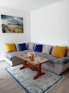 Panorama Plužine Apartment - Trsa