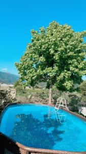 Villa SouAri 10 da Forte de Marmi - 2km spiaggia