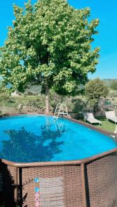 Villa SouAri 10 da Forte de Marmi - 2km spiaggia