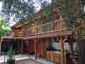 Casacoquelicot Un jardin sud-américain en Provence - 高加克