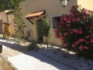 Maisons de vacances Casacoquelicot Un jardin sud-americain en Provence : photos des chambres