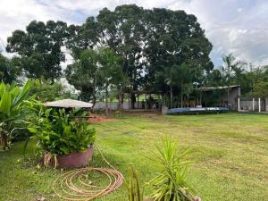 Aconhengo do Altíssimo