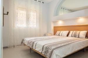 Soleil - Los Hibiscus