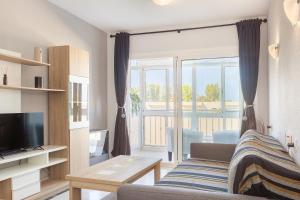 Soleil - Los Hibiscus