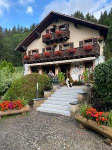 Maisons d'hotes Chambres d'Hotes des Cascades St-Nicolas : photos des chambres
