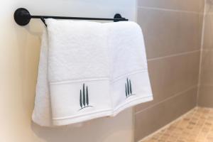 Maisons d'hotes Gites au pied des Cevennes - Domaine Les Terres Aoyama : photos des chambres