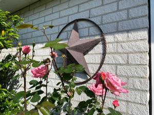 Lonestar Appartement