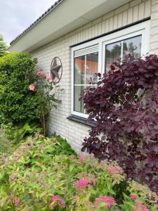 Lonestar Appartement