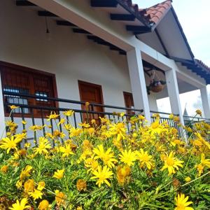 Cabaña Villa Esperanza