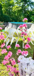 Casa Irene per famiglie e gruppi con piscina