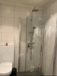 Ritas fancy apartment - Toverud