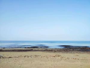 Owls Nest Limnos Apartment - pet friendly, close to the beach