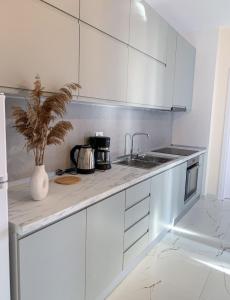 ODORE DI MARE APARTMENTs