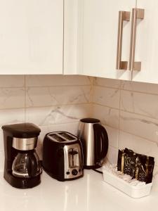 unit #203 Cozy Mountain View 1BR in DT
