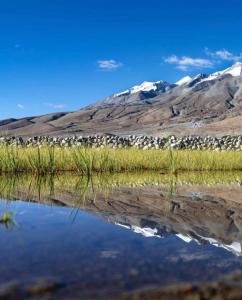 Mentsel Merak Pangong Lake