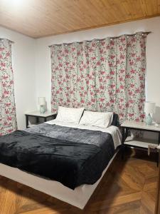 Finca Siberia, Sisga