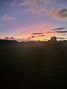 Finca Siberia, Sisga