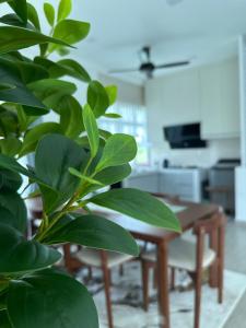 Tiny House PT82 Kg Gumut Tambahan