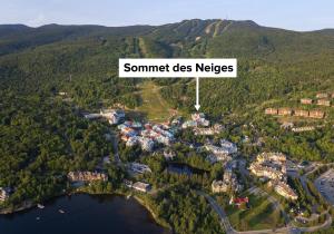 Sommet Des Neiges