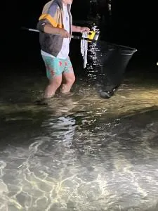 Bluewater sanctuary - Koolewong