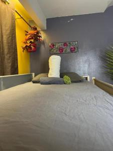 Auberge PVT Hostel