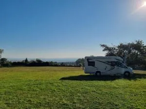 Meadow by the forest - Malšice
