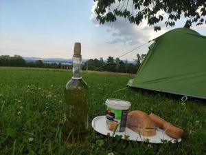 Meadow by the forest