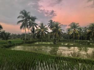 Rinjani Terrace Cottage