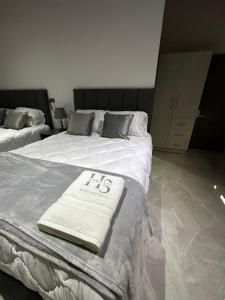 home 333 habitacion 335