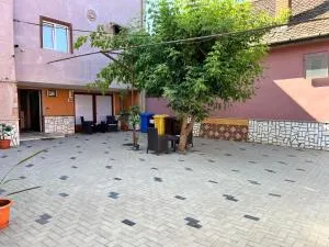 Family S.E.T. - 锡比乌盐矿镇