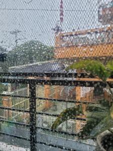 AGK House - HomeStay - 406 Xô Viết Nghệ Tĩnh, P25, Bình Thạnh, gần ngã 4 Hàng Xanh