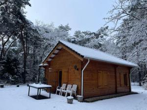 Vakantiehuis midden in het bos vlakbij de Efteling Natuurhuisje Loonse en Drunense duinen