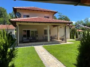 Vip kuca Banja Vrujci - Mionica