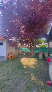 Casa dell'Acero rosso - Il Romito