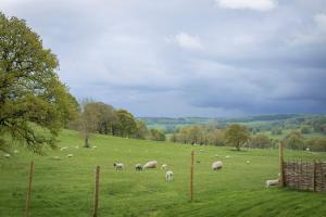 Woodlands Shepherds Hut Chatsworth Estate