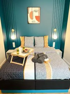 Le cosy et confortable à 15min à pied de la gare - 瓦朗斯堡