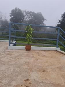 Coorg Teakwood Treasure Homestay